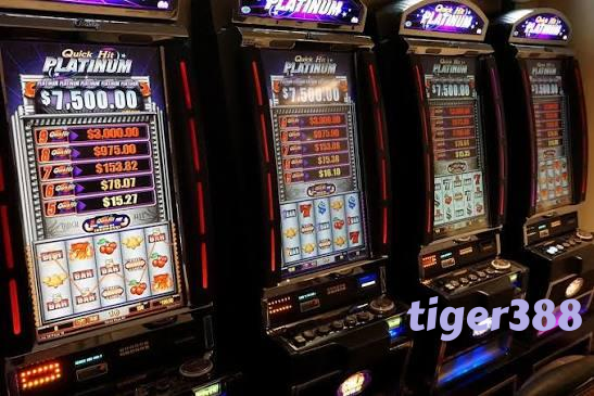 tiger388 slide 1